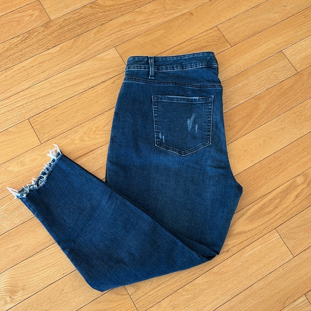 Lane Bryant Skinny Jeans